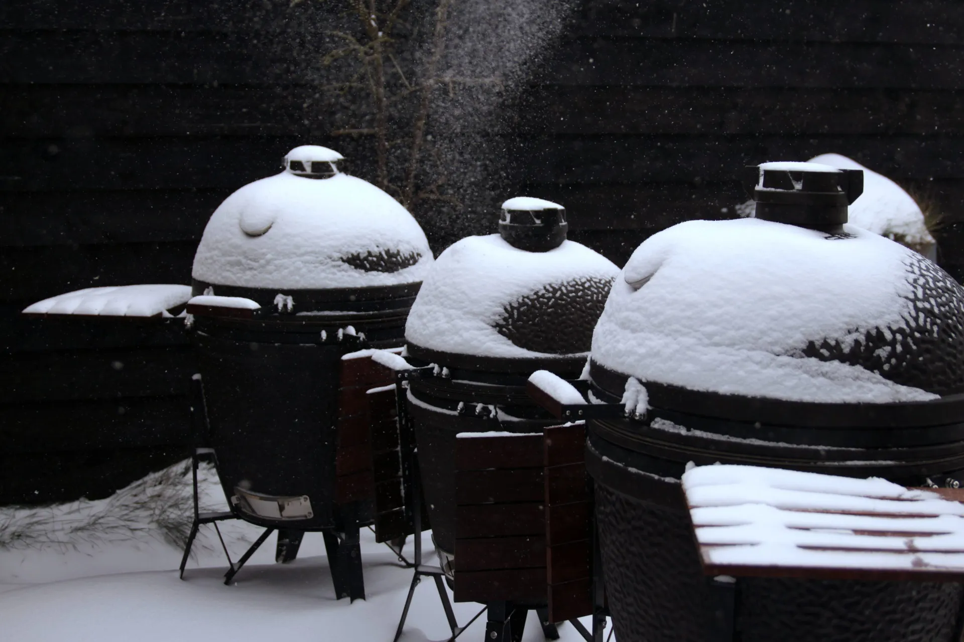 bastard sneeuw 4 scaled